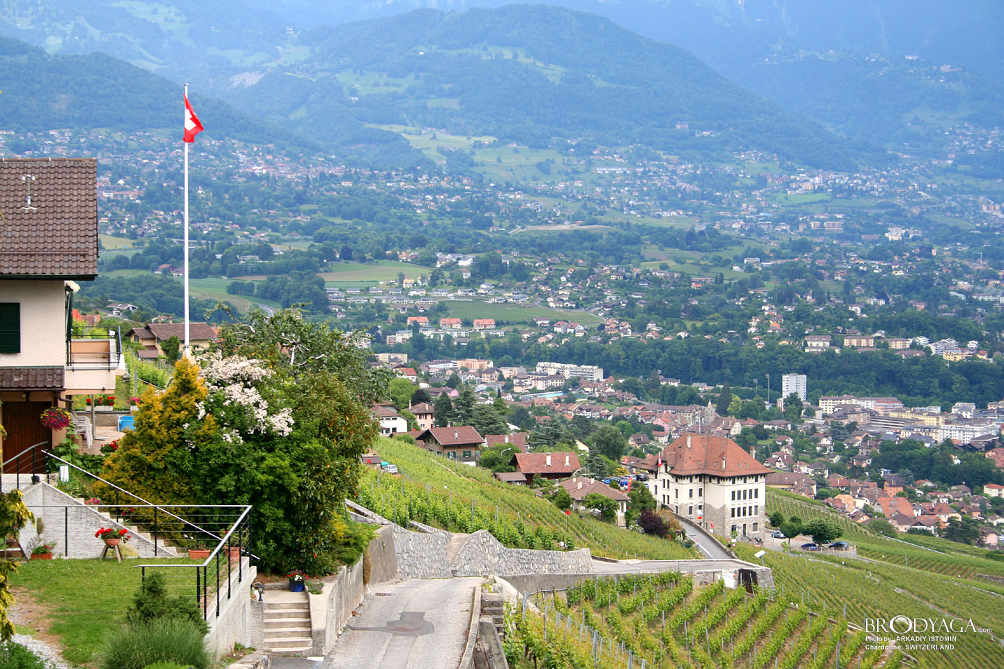 Chardonne